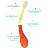 RADIUS Big Kidz Replaceable Head Forever Brush